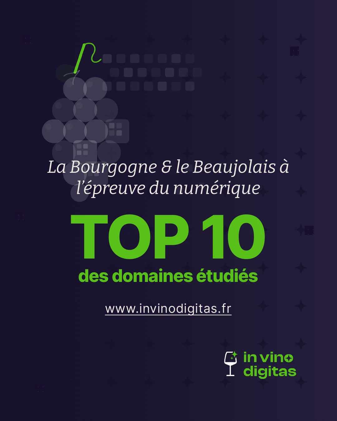 Couverture du carrousel du classement, sur fond bleu nuit : une grappe de raisin dessinée en pixels, le titre « La Bourgogne & le Beaujolais à l'épreuve du numérique », puis « TOP 10 des domaines étudiés » en vert vif.